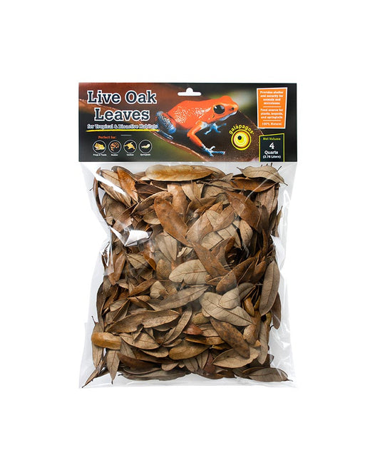 Galapagos Natural Live Oak Leaf Litter 4qt