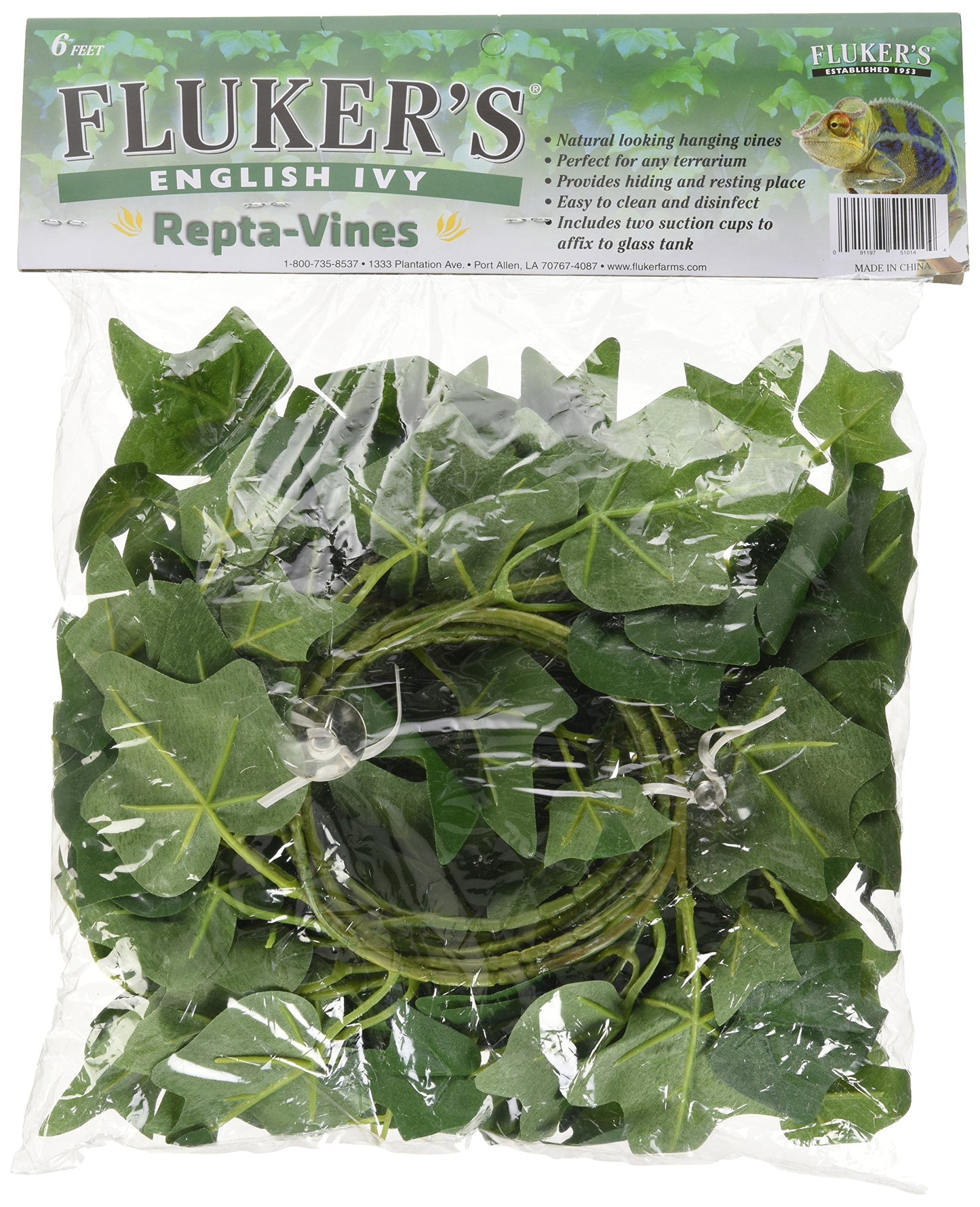 Fluker’s English Ivy Repta-Vines 6’