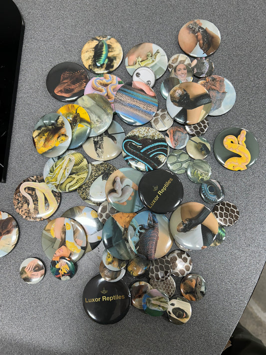 2.25” And 1.25” Button Pin mystery 10 pack