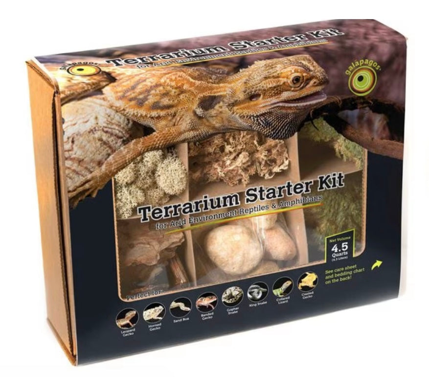 Galapagos Natural Pack Arid Environment Terrarium Starter Kit