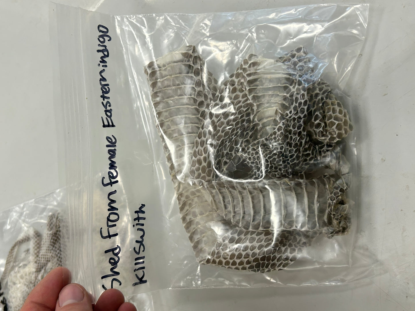 Snake Shed Mystery Box