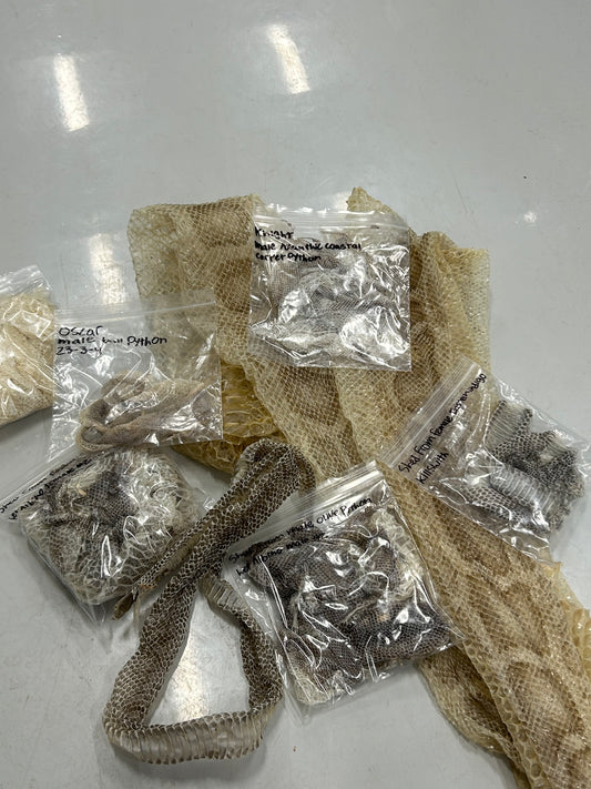Snake Shed Mystery Box