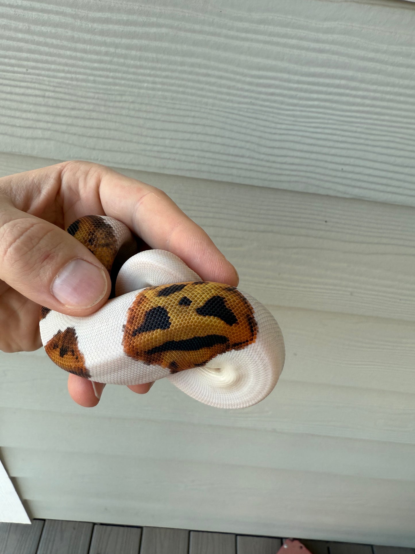 “Emoji” pied