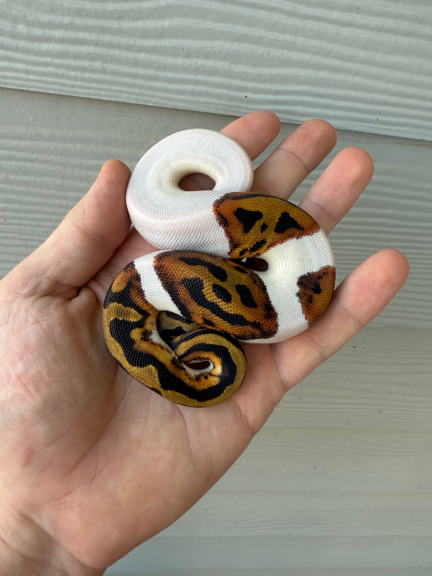“Emoji” pied