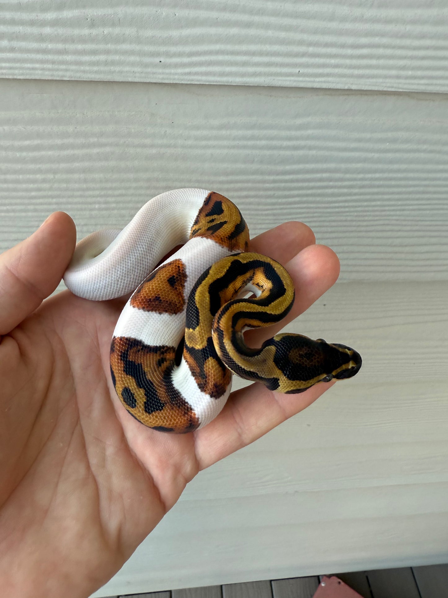“Emoji” pied