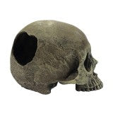Komodo Human Half Skull Hideout Small