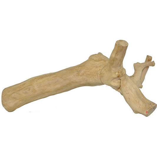 Java Wood Reptile Branch