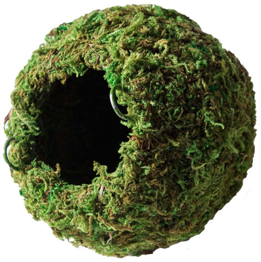 Galapagos Mossy Cave Terrarium Hideaway