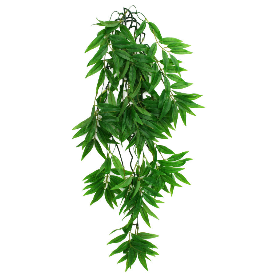 Komodo Bamboo Hanging Plant 24in