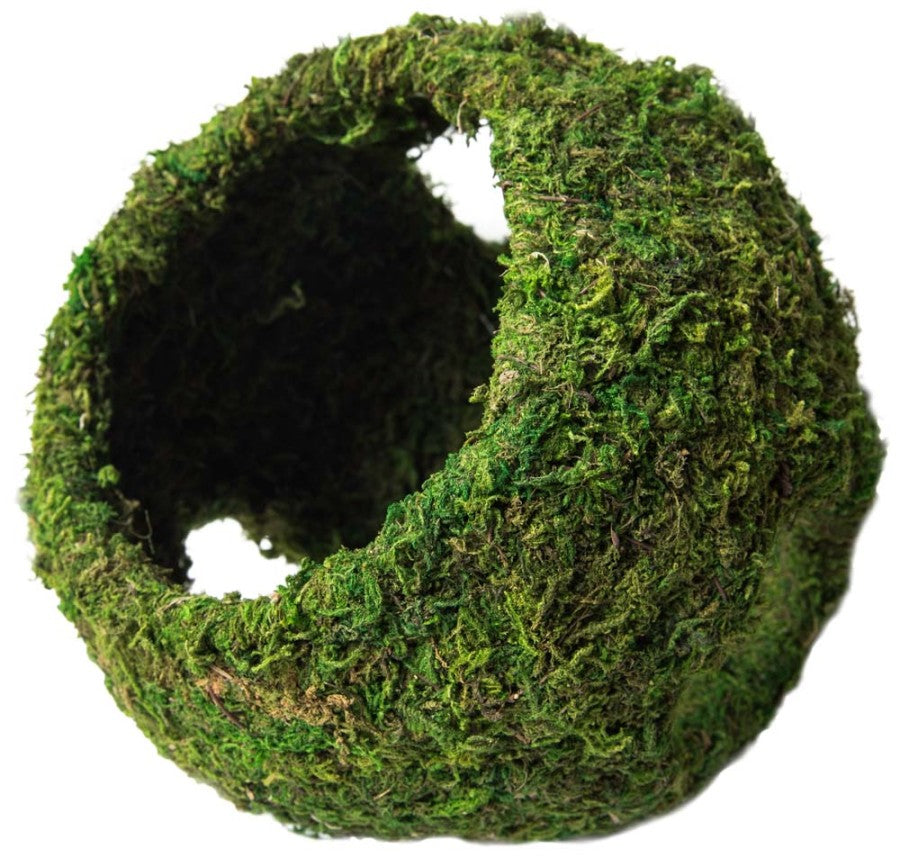 Galapagos Mossy Cave Terrarium Hideaway