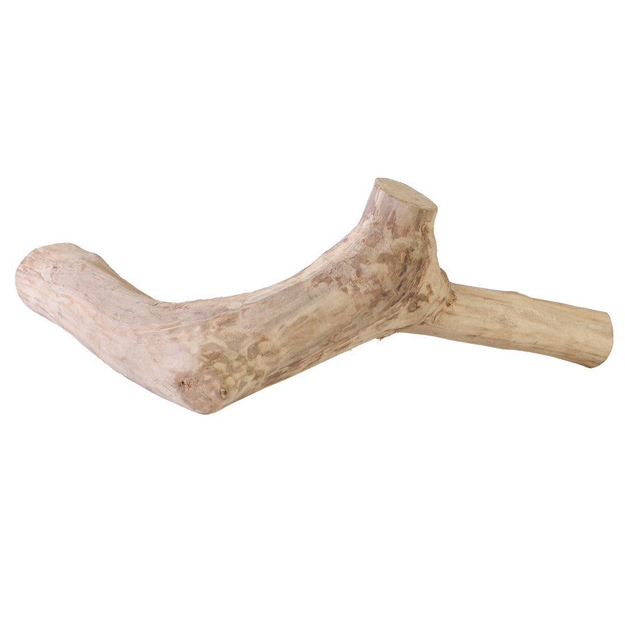 Java Wood Reptile Branch