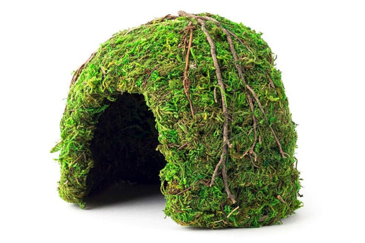 Galapagos Mossy dome Terrarium Hideaway