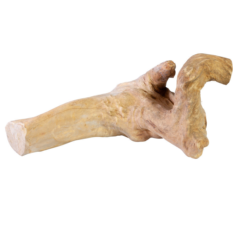 Java Wood Reptile Branch