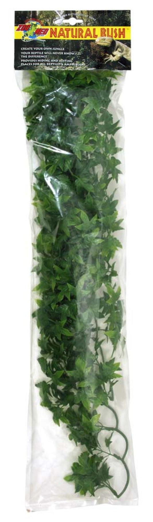 Zoo Med Natural Bush Congo Ivy