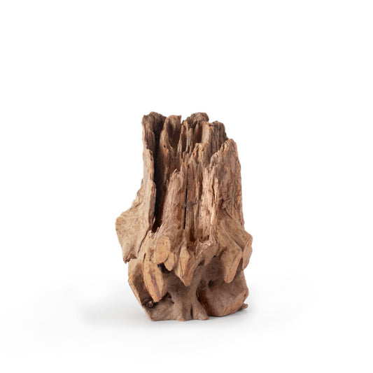 Galapagos Hollow Log Natural Eucalyptus Hide 6-8in