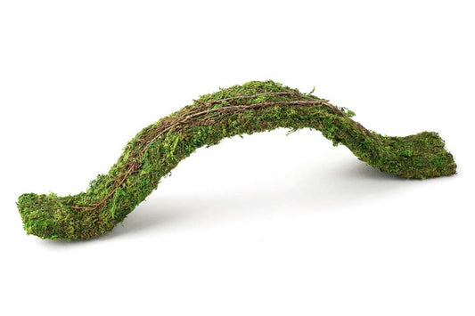 Galapagos Flexible Bridge Terrarium Ornament