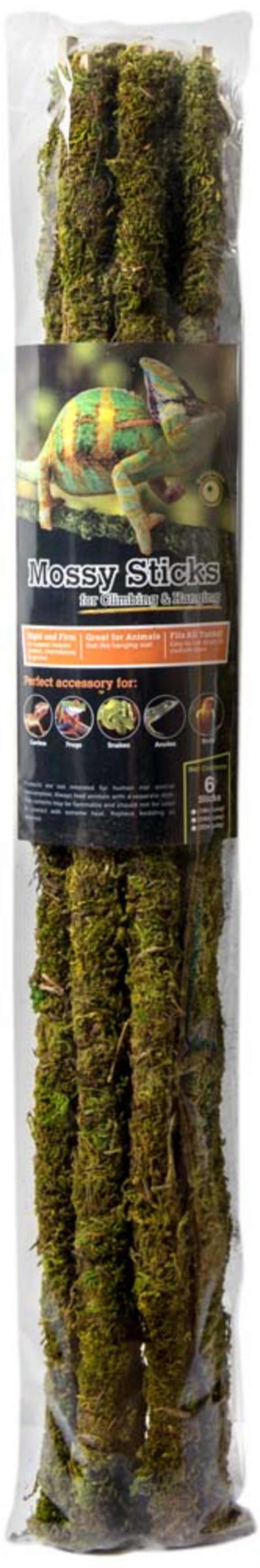 Galapagos Mossy Sticks