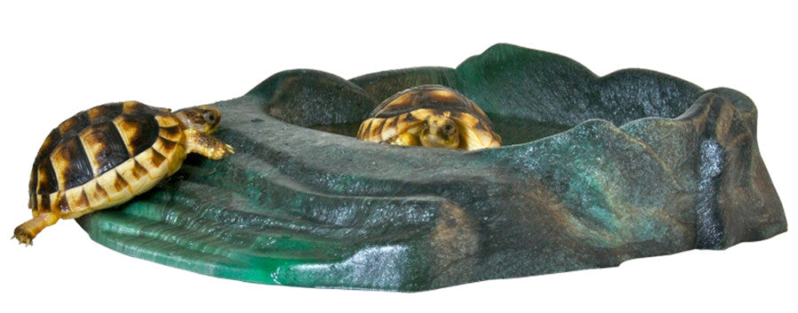 Zoo Med Repti Ramp Bowl