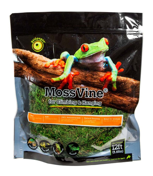 Galapagos MossVine 12ft