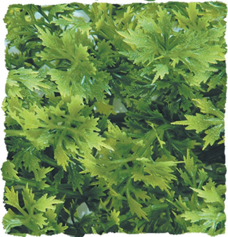 Zoo Med Natural Bush Australian Maple