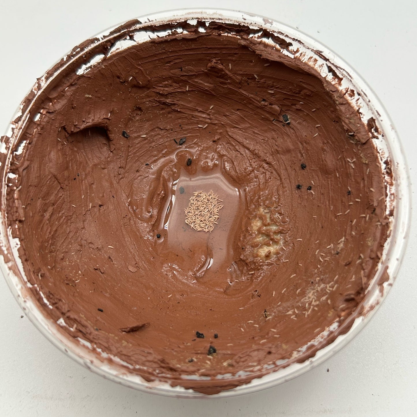 Dry springtail clay