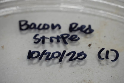 Bacon red stripe