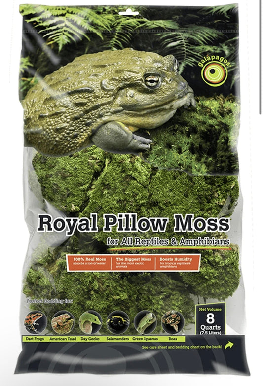 Galapagos Green Royal Pillow Moss