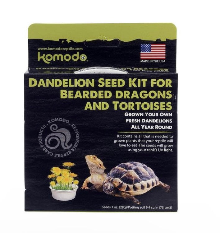Dandelion Seed Kit