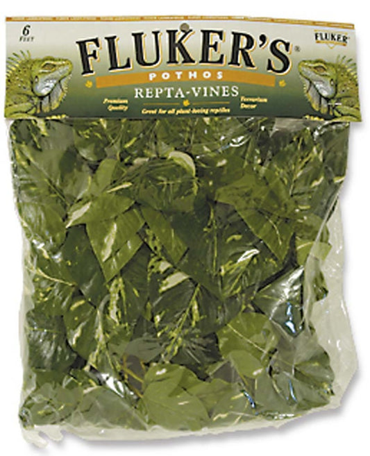 Fluker's Repta-Vines Pothos 6ft