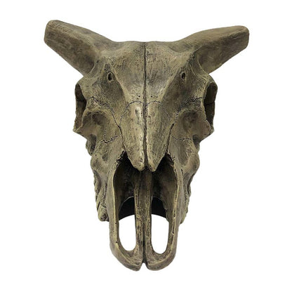 Komodo Deer Skull Hide