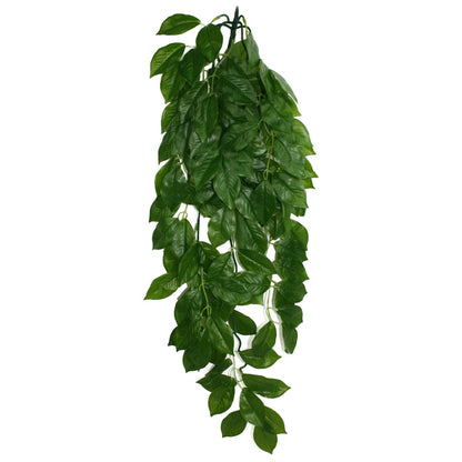 Komodo Green Leaf Hanging Plant