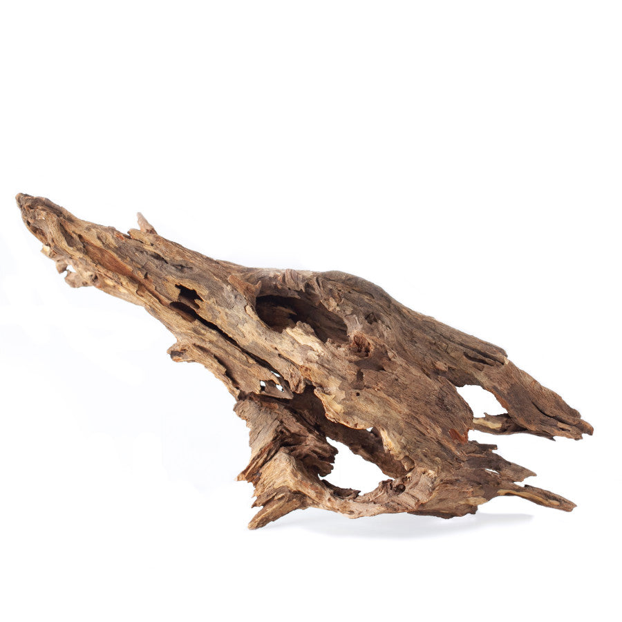 Galapagos Hollow Tree Root Natural Driftwood 12-16in