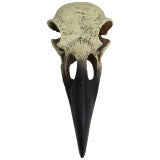 Komodo Raven Skull Hideout