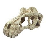 Komodo T-Rex Skull Reptile Hide