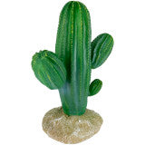 Komodo Cactus Plant Saguaro 9.5