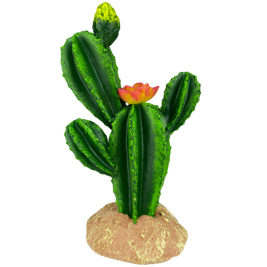 Komodo Cactus Plant Flower 9in