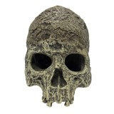 Komodo Textured Human Skull Reptile Hide Large