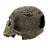 Komodo Textured Human Skull Reptile Hide Large