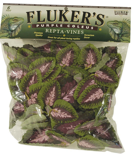 Fluker's Repta-Vines Purple Coleus 6ft
