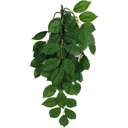 Komodo Green Leaf Hanging Plant